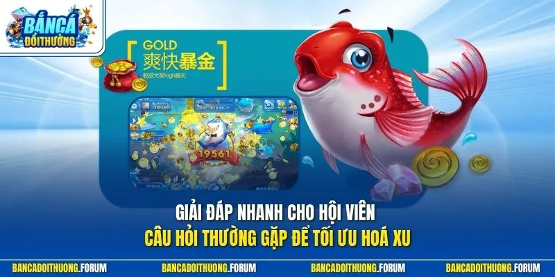 Giải đáp nhanh cho hội viên câu hỏi thường gặp để tối ưu hoá xu